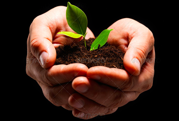 网页DDOS攻击平台