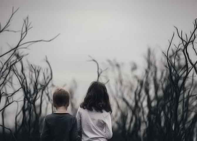 简单又贴心的cc网页端