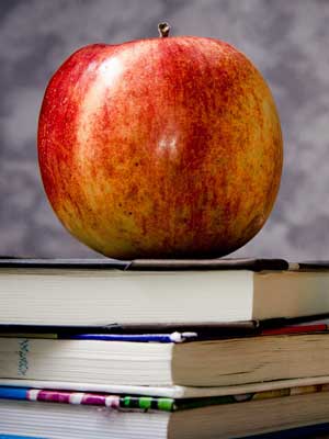 发卡平台特惠的网站攻击工具手机版