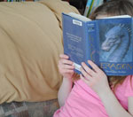 ddos在线攻击平台