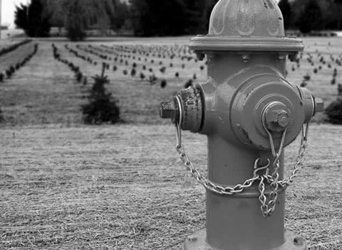 哪里能买到靠谱的网页攻击器